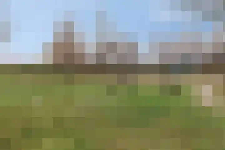 De Hoevens 90 Hooglanderveen thumbnail 39