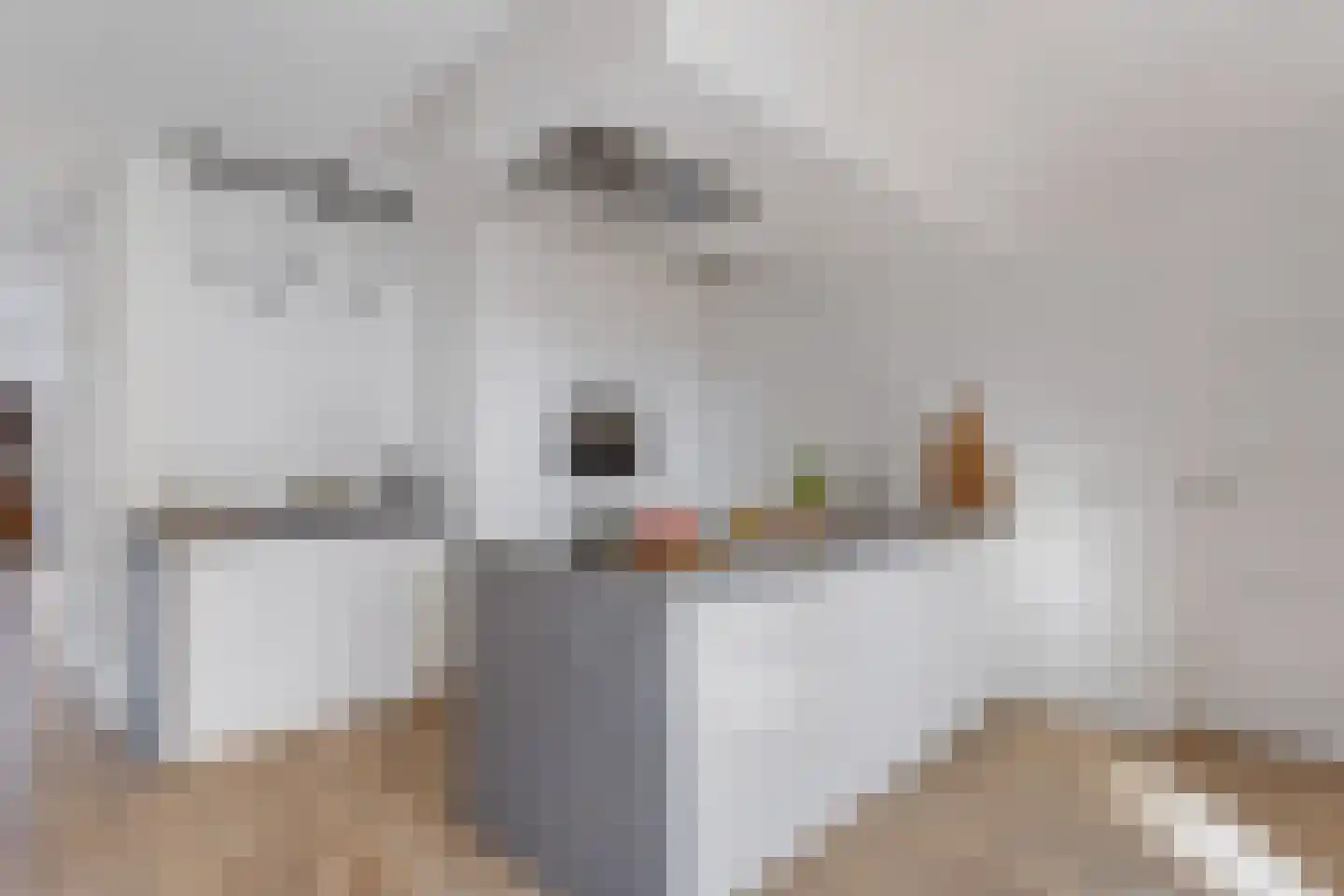 De Hof 12 Geesteren thumbnail 10