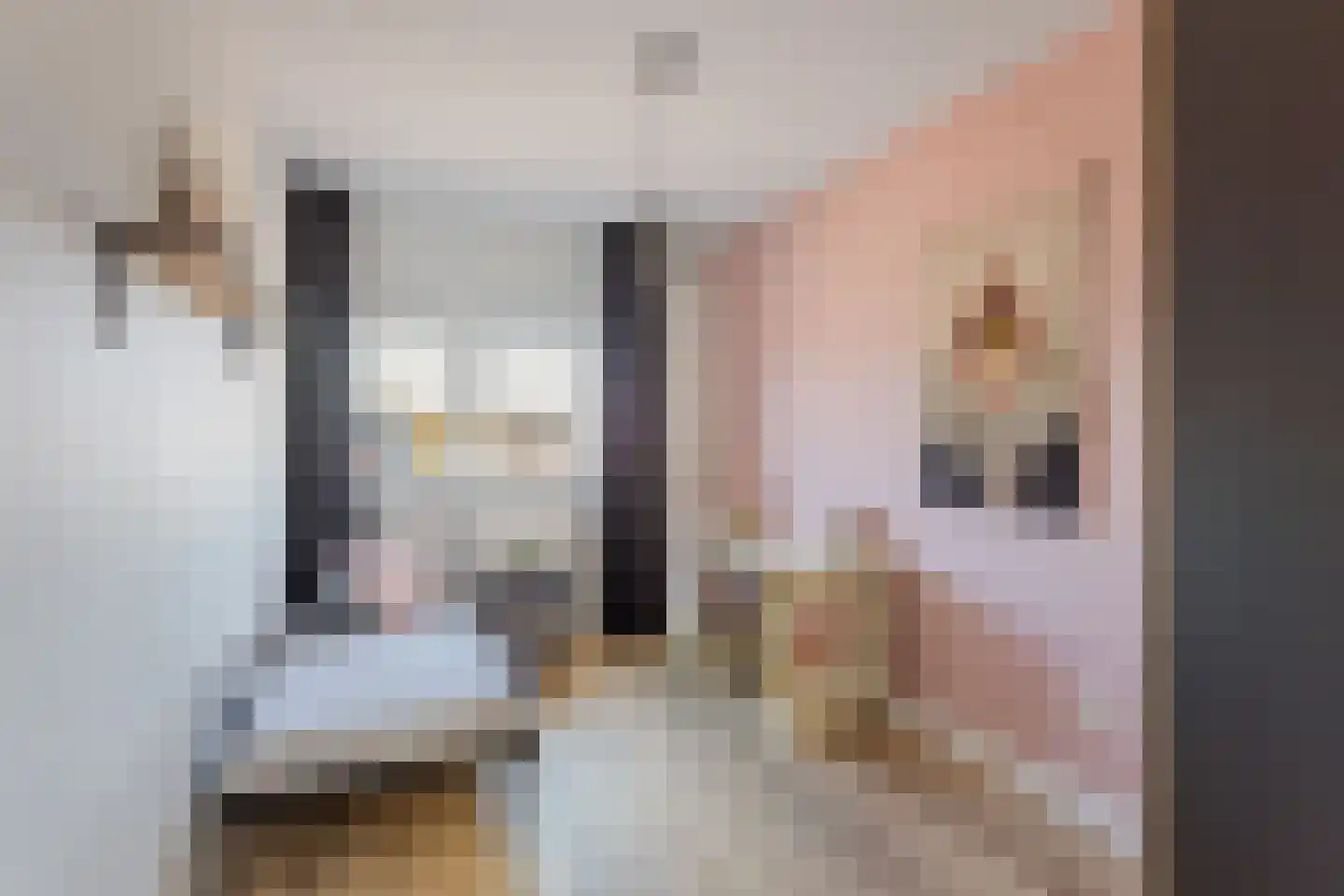 De Hof 12 Geesteren thumbnail 15