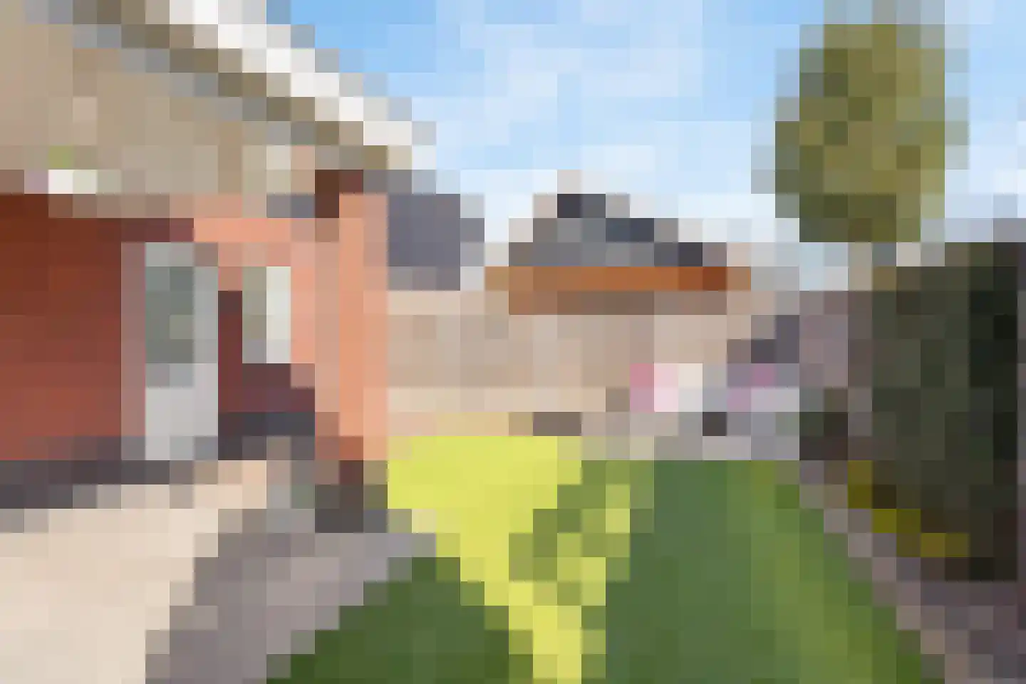 De Hof 12 Geesteren thumbnail 19