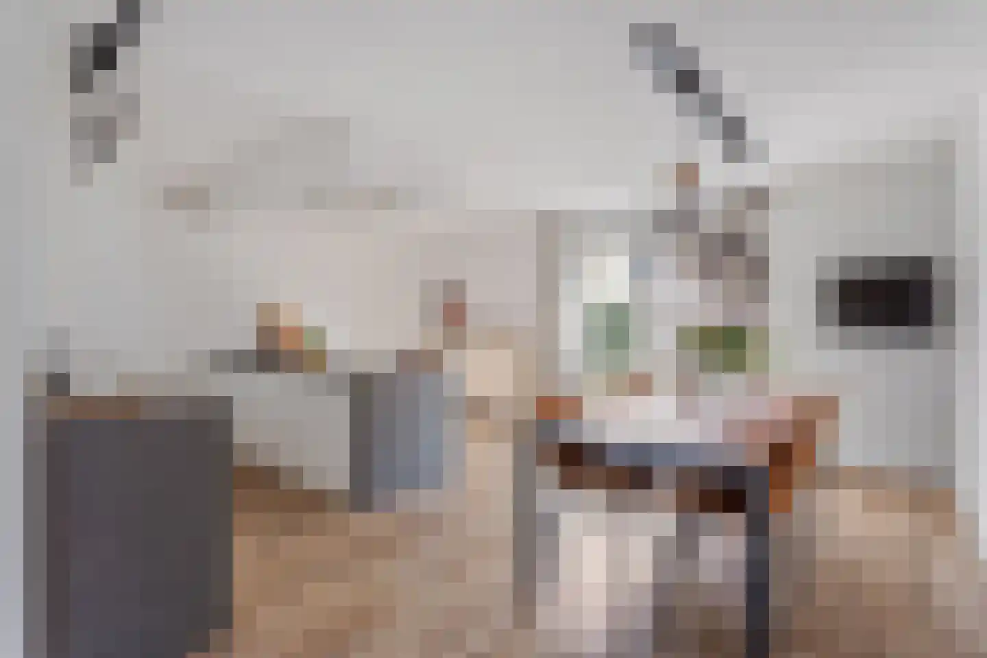 De Hof 12 Geesteren thumbnail 9