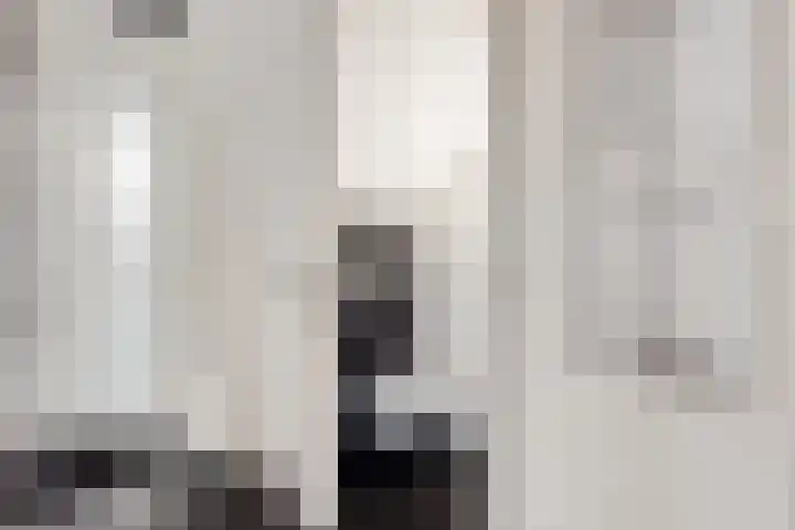 De Hof 13 Geesteren thumbnail 11