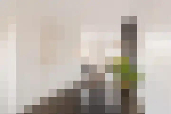 De Hof 13 Geesteren thumbnail 15