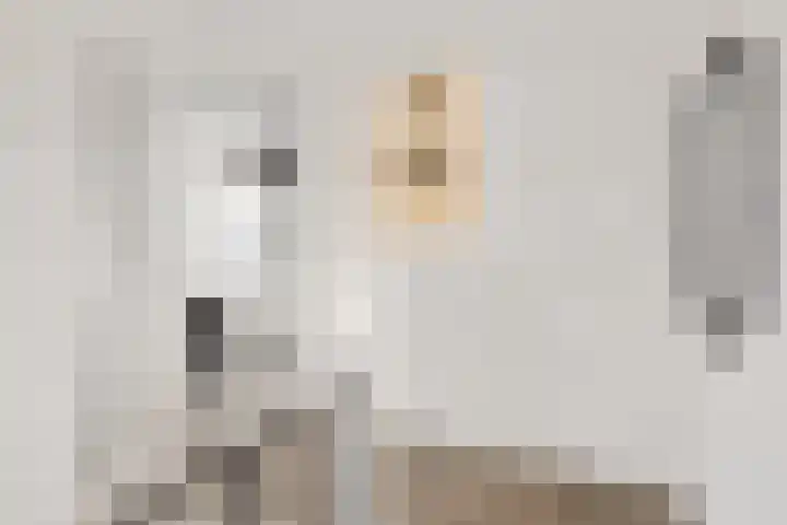 De Hof 13 Geesteren thumbnail 21