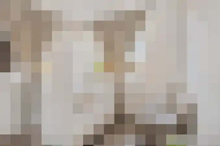 De Hof 13 Geesteren thumbnail 28