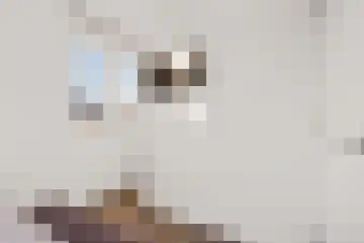 De Hof 13 Geesteren thumbnail 31