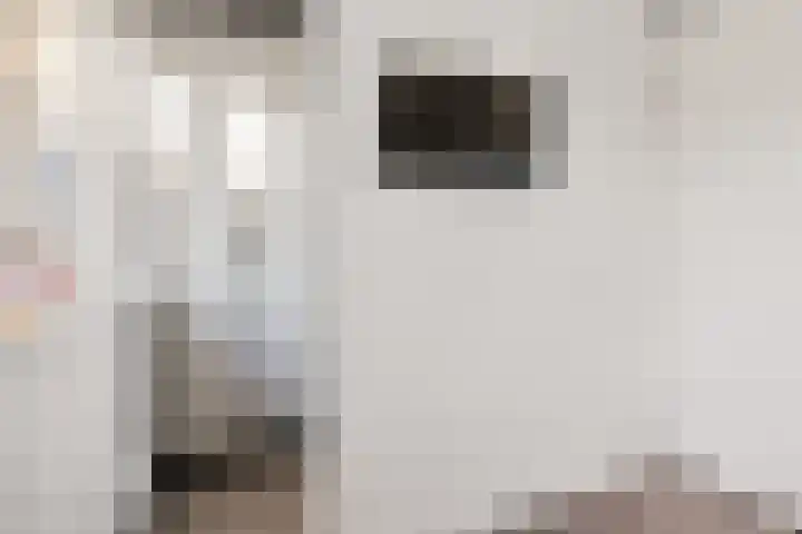 De Hof 13 Geesteren thumbnail 33