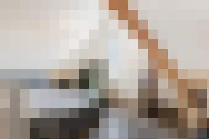 De Hof 13 Geesteren thumbnail 34