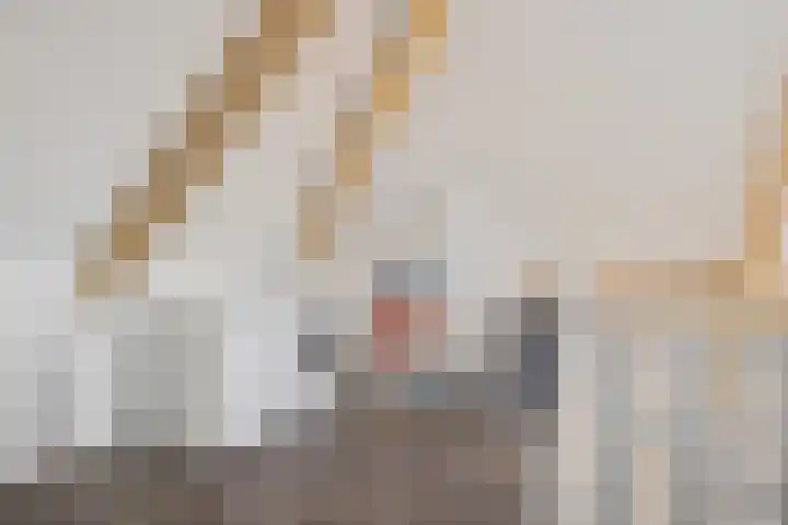 De Hof 13 Geesteren thumbnail 35