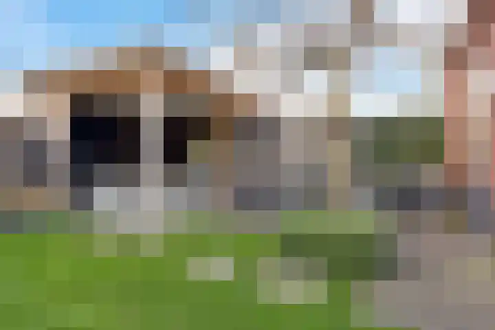 De Hof 13 Geesteren thumbnail 36