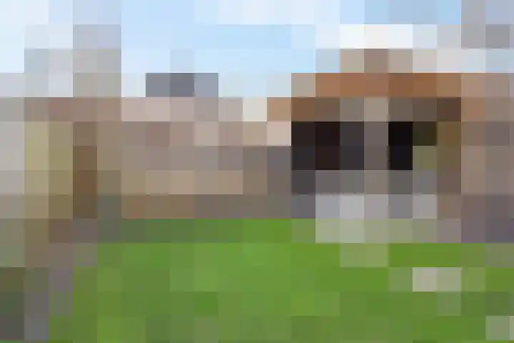 De Hof 13 Geesteren thumbnail 37