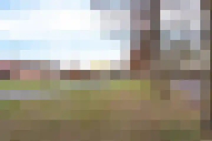 De Hof 13 Geesteren thumbnail 8