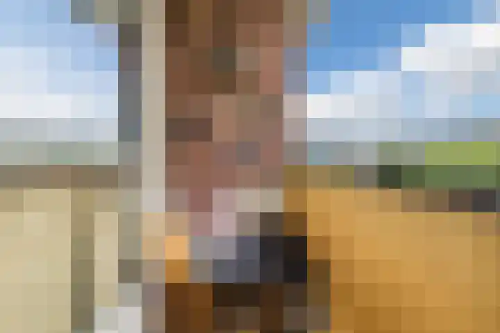 de Hof 23 Almen thumbnail 10