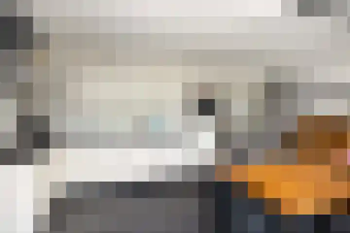 de Hof 23 Almen thumbnail 12
