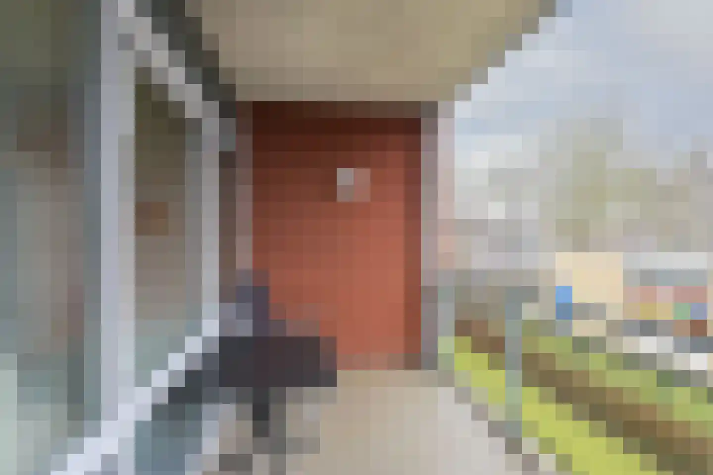 de Hof 23 Almen thumbnail 17