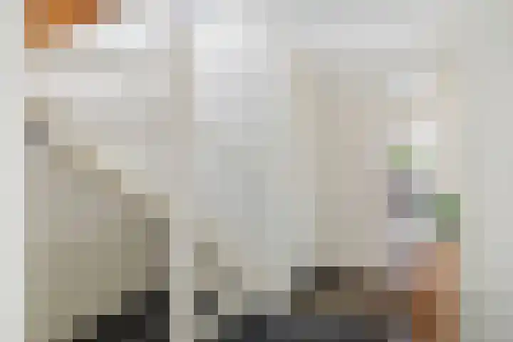 de Hof 23 Almen thumbnail 20