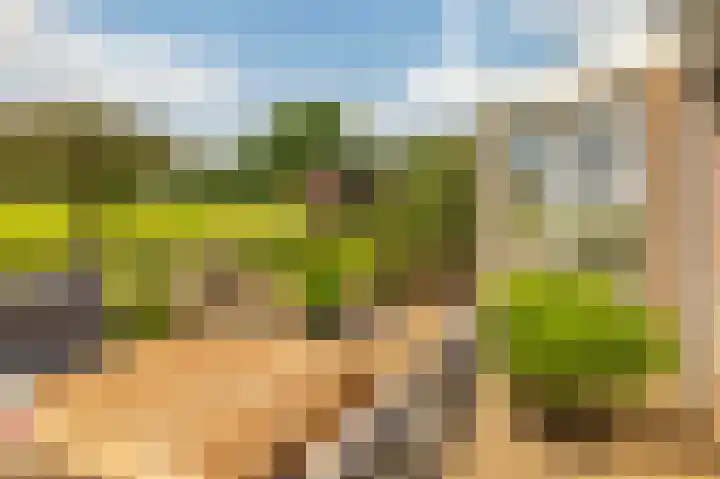 de Hof 23 Almen thumbnail 39