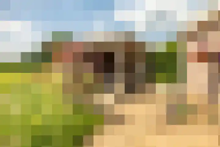 de Hof 23 Almen thumbnail 40