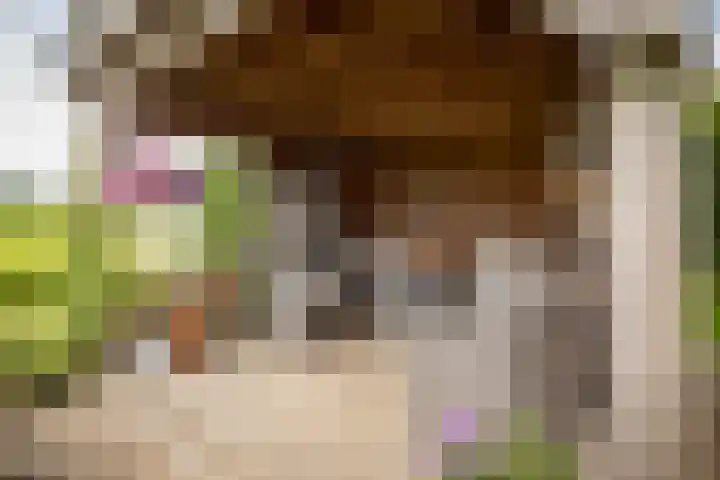 de Hof 23 Almen thumbnail 41