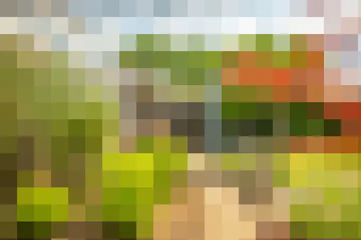 de Hof 23 Almen thumbnail 42