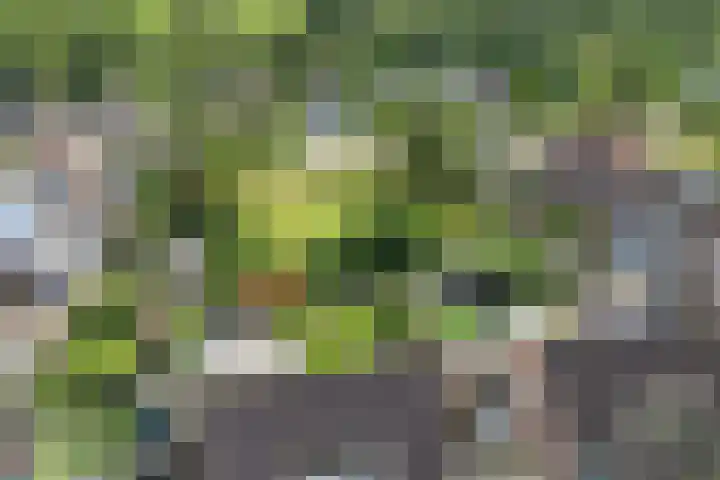 de Hof 23 Almen thumbnail 44