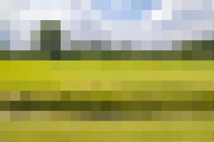 de Hof 23 Almen thumbnail 44