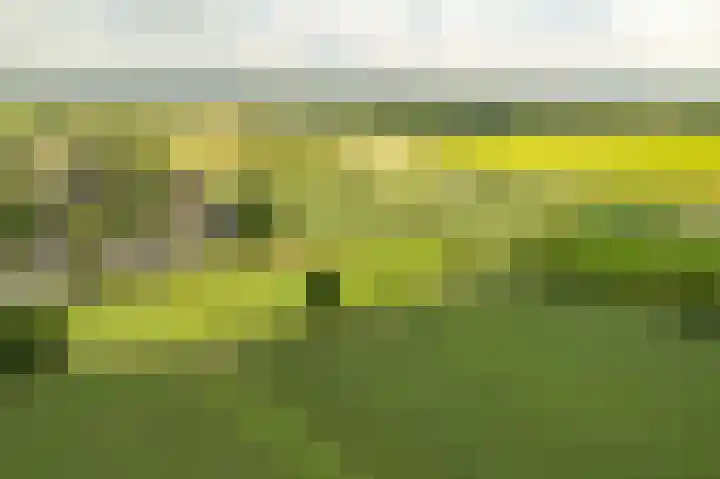 de Hof 23 Almen thumbnail 48