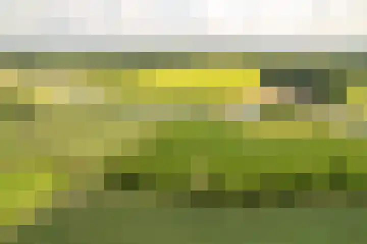 de Hof 23 Almen thumbnail 49