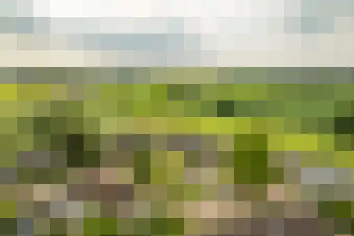 de Hof 23 Almen thumbnail 51