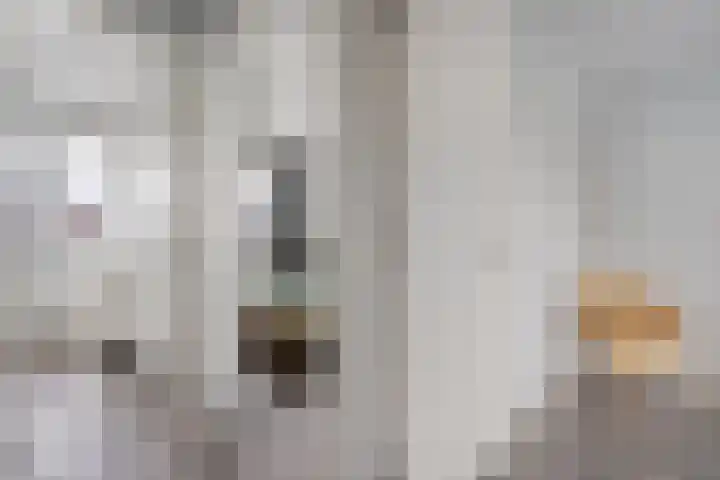De Hof 7 Geesteren thumbnail 12