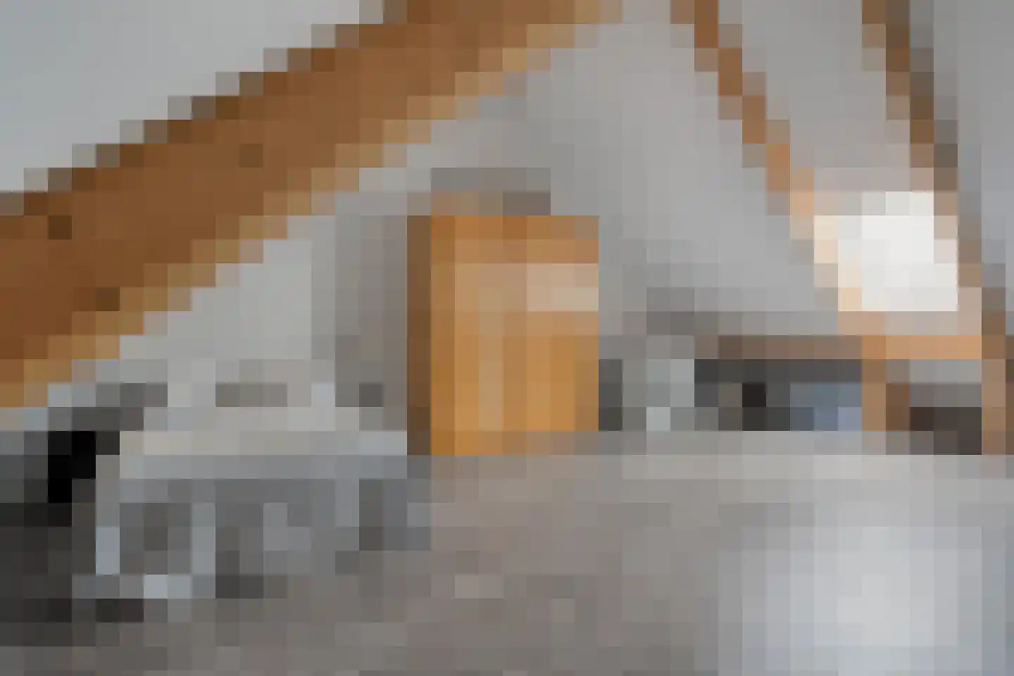 De Hof 7 Geesteren thumbnail 17