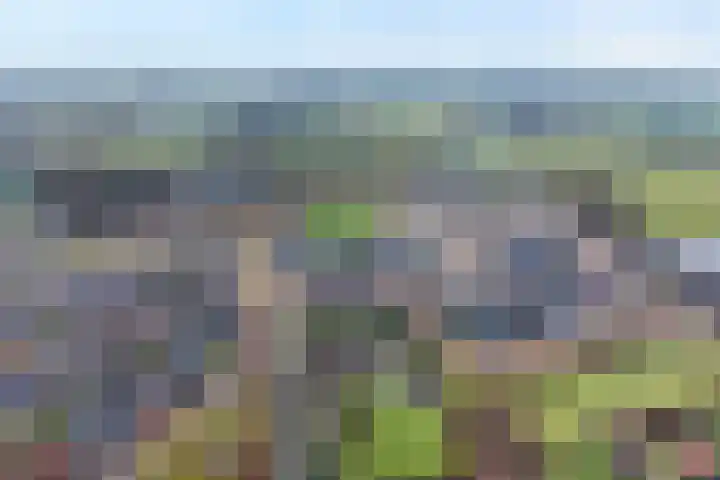 De Hof 7 Geesteren thumbnail 23