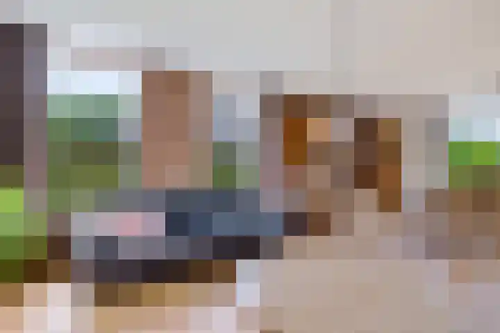 De Hof 7 Noord-Sleen thumbnail 17