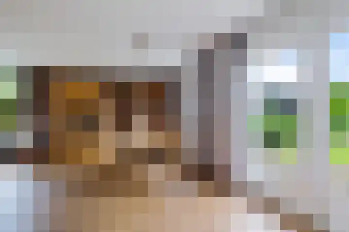 De Hof 7 Noord-Sleen thumbnail 19