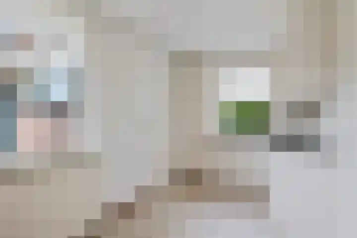 De Hof 7 Noord-Sleen thumbnail 22