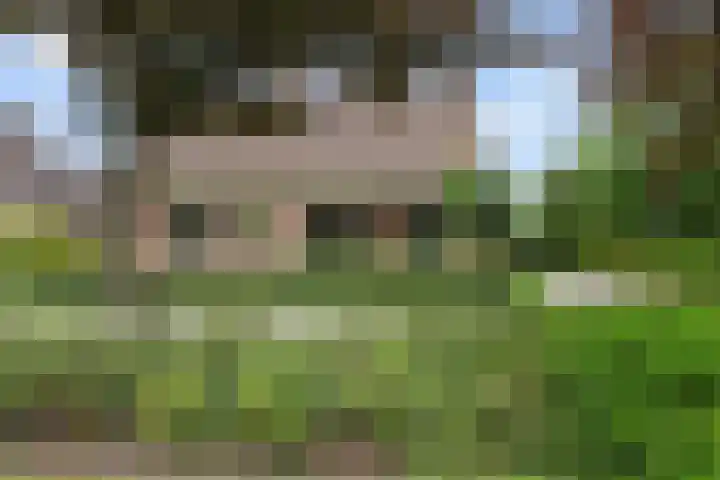 De Hof 7 Noord-Sleen thumbnail 4