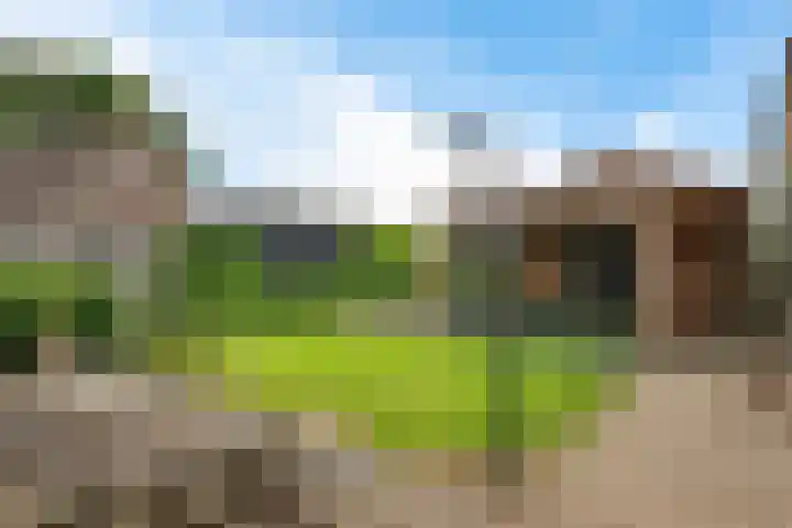 De Hof 7 Noord-Sleen thumbnail 40