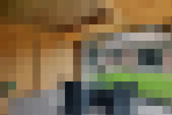 De Hof 7 Noord-Sleen thumbnail 43