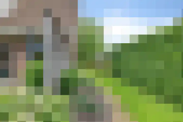 De Hof 7 Noord-Sleen thumbnail 46
