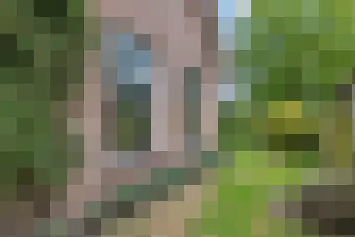 De Hof 7 Noord-Sleen thumbnail 47