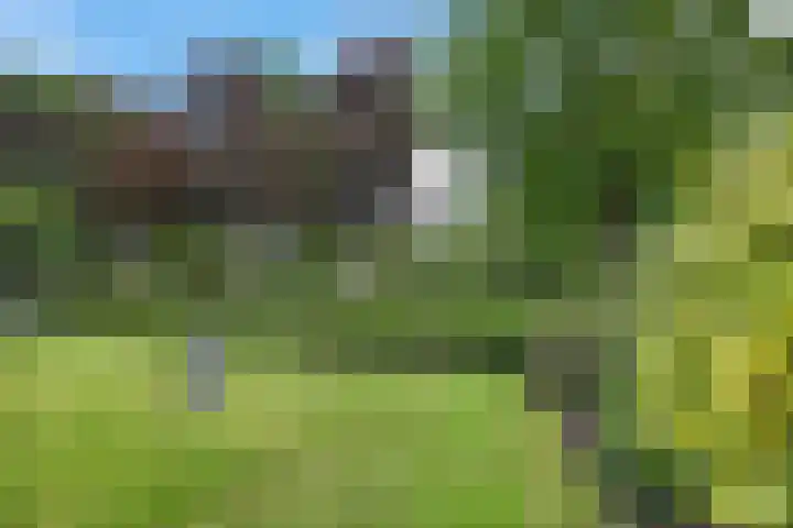 De Hof 7 Noord-Sleen thumbnail 48