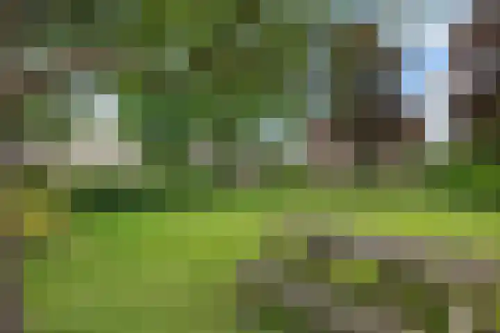 De Hof 7 Noord-Sleen thumbnail 5