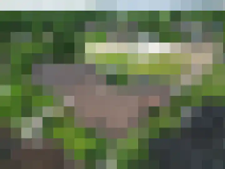 De Hof 7 Noord-Sleen thumbnail 51