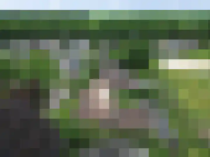 De Hof 7 Noord-Sleen thumbnail 52