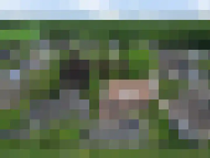 De Hof 7 Noord-Sleen thumbnail 53
