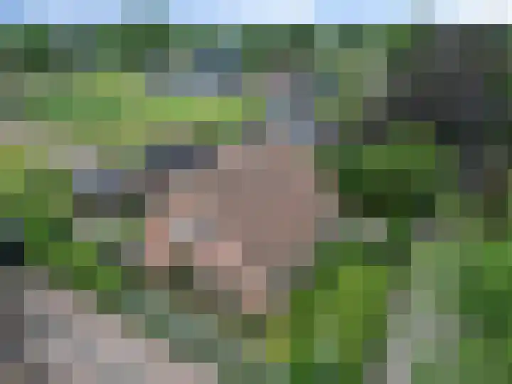 De Hof 7 Noord-Sleen thumbnail 55