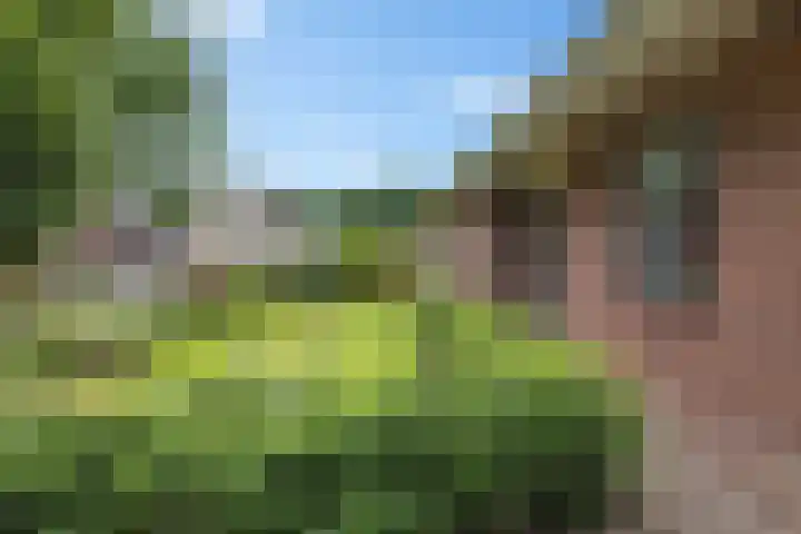 De Hof 7 Noord-Sleen thumbnail 6