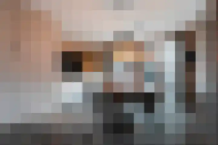 De Hof 8 Geesteren thumbnail 10