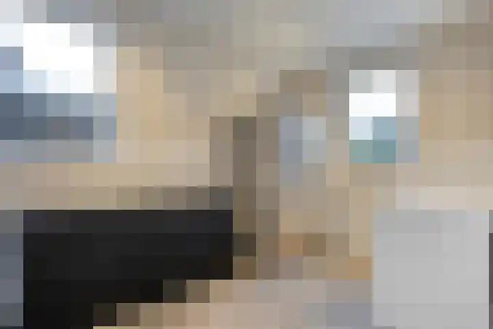 De Hof 8 Geesteren thumbnail 16