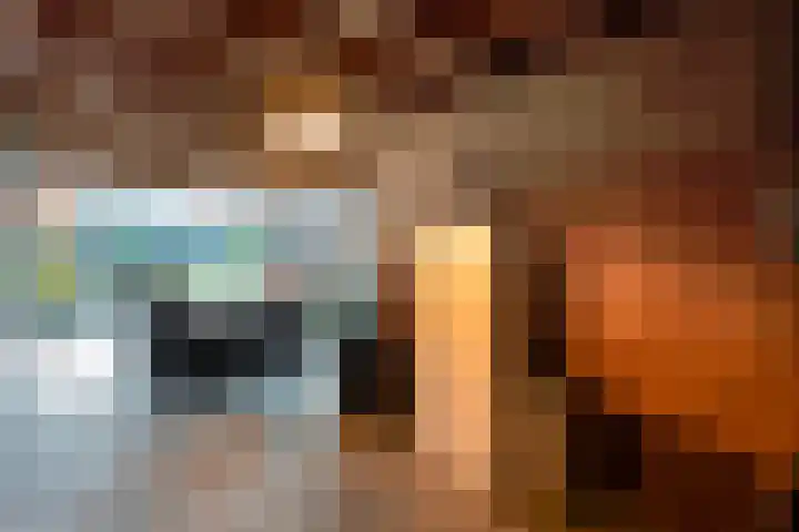De Hof 8 Geesteren thumbnail 29
